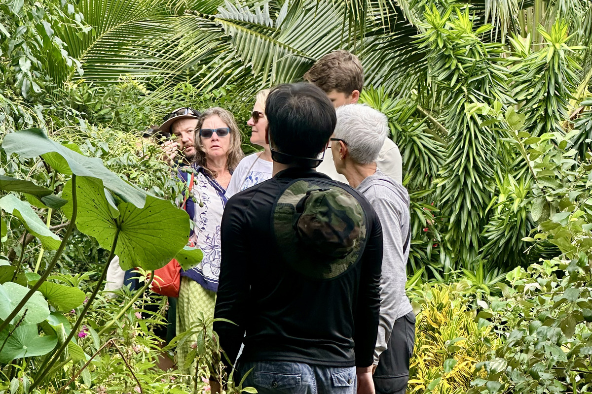 Small group exploring the Mekong Delta with a local guide