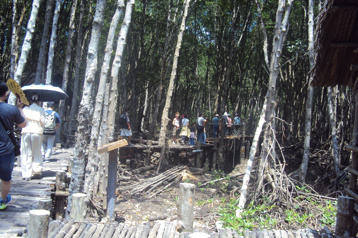 Wooden viewing platform in the Can Gio mangrove forest with visitors exploring