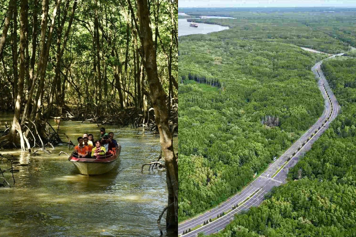 Speedboat carrying travelers through the Can Gio mangrove forest near Ho Chi Minh City