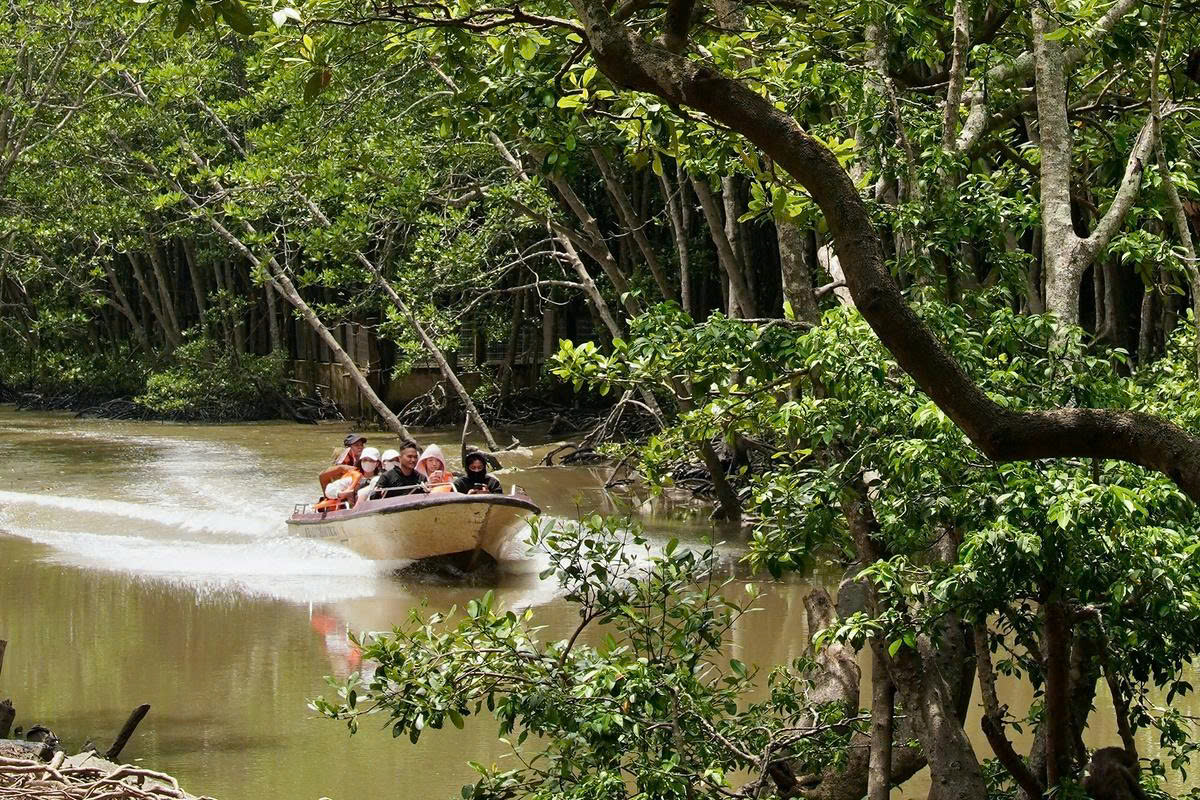 Can Gio private tour