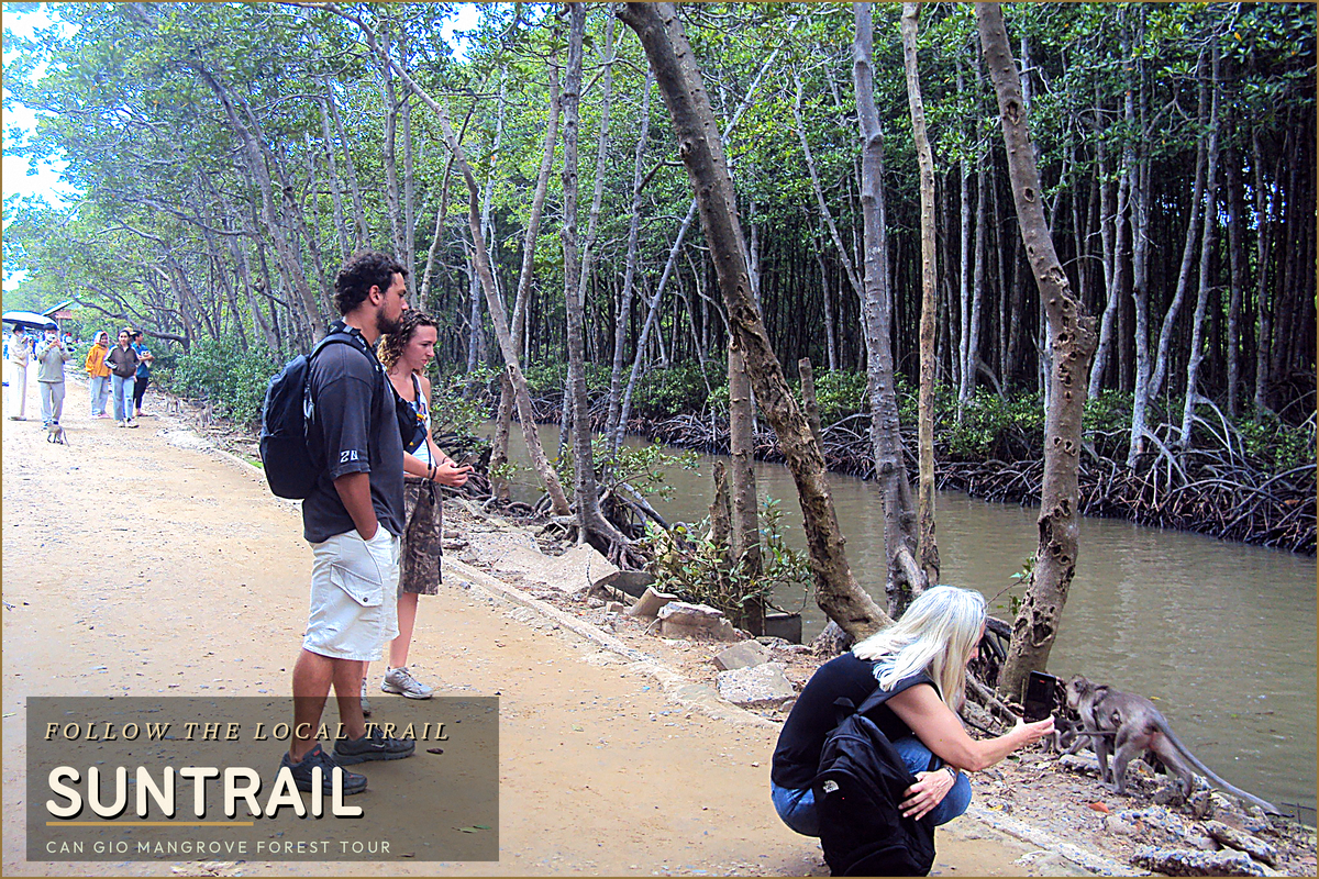 Travelers photographing wild monkeys along the mangrove canal on the Can Gio Mangrove Forest Tour – Suntrail Travel