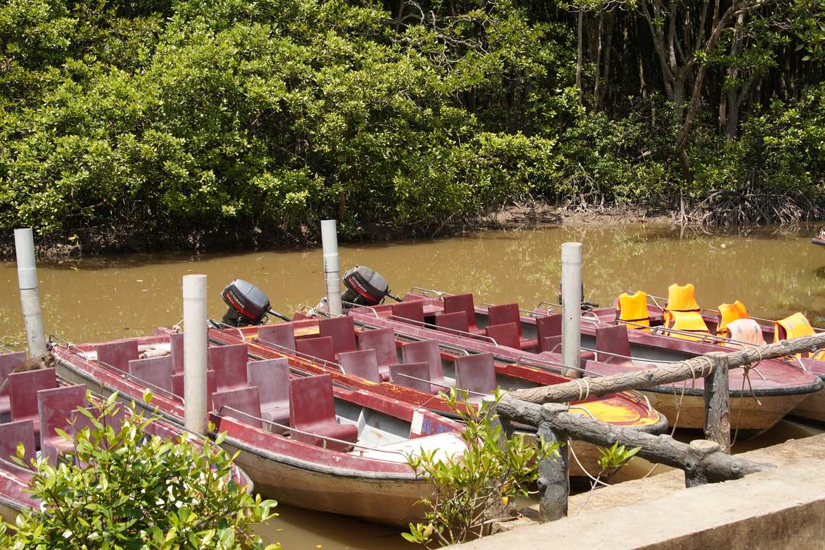 Tour boats docked along the riverbank for a Can Gio day trip