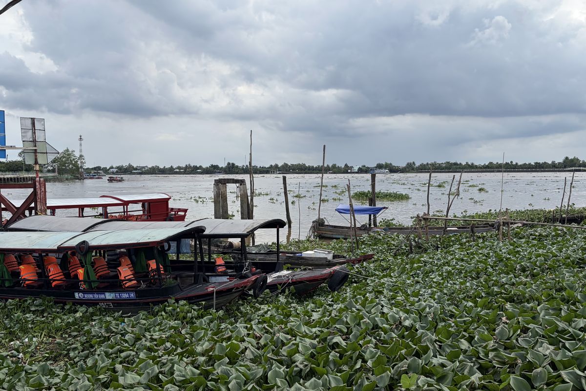 Can Tho city guide: Mekong Delta day tour boats at a riverside pier under a cloudy sky